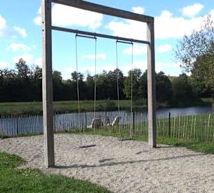 Schaukelweg an der Donau