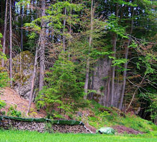 Wanderung zum Bärenfels