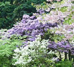 Planten und Bloomen Freizeitpark