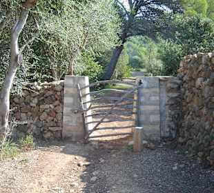 Wanderung auf dem "Camis de Cavalls"