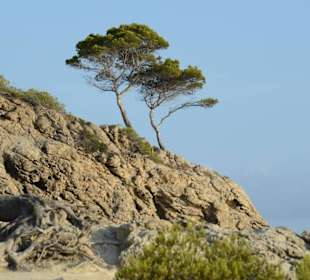 Direkte Nähe zum Strand