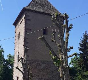 Altstadt Wissembourg