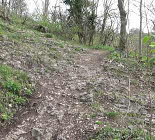Wanderung rund um das Rusenschloss Gerhausen