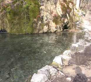 Gütersteiner Wasserfall