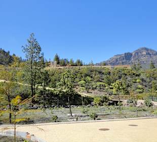 Tunte/San Bartolomé de Tirajana, Gran Canaria