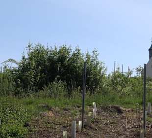 Früchtetrauf - Wurmlinger Kapellenwegle