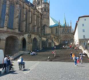 Dom 