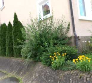 Bürgerhaus Zimmern