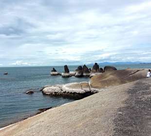 Ogólny widok