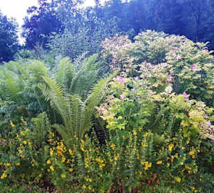 Blütenpracht im Kurpark