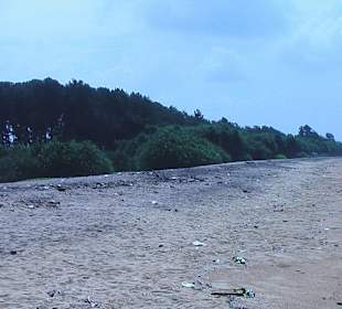 Leerer Sandstrand 