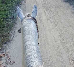 Santi Tour/Playa del Carmen - Holbox