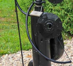 Talrats, Mitglied der Bruninieku Parade