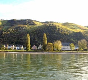 Blick über den Rhein in der Umgebung  (ca. 4 Minuten Gehzeit) Hotel Ebertor