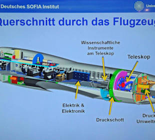 Querschnitt