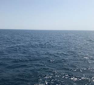 Schnorcheln Soma Bay