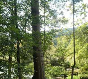 Von Bayerisch Eisenstein nach Ludwigsthal