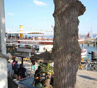 Ausblick Hafen Warnemünde