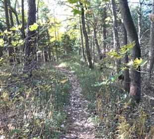 Geschichtslehrpfad Streichen