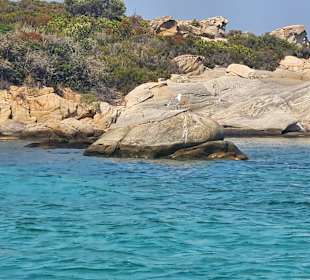 Bootstour Sarti 