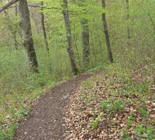 Premiumwanderweg Hochgebürzelt