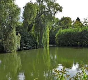 Rundgang durch den Edgar-Deichmann-Park