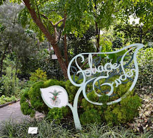 Botanischer Garten Singapur
