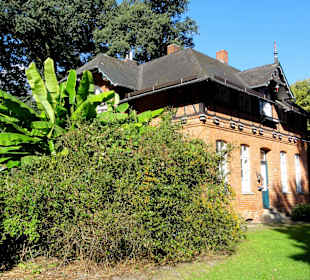 Herbstspaziergang durch Knoops Park