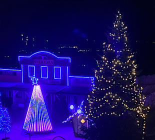 Christmas light Show 