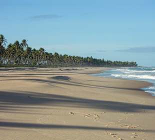 Strandmarsch Imbassai nach Praia do Forte