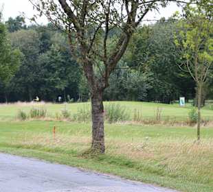 Teilweise hohes Rough 