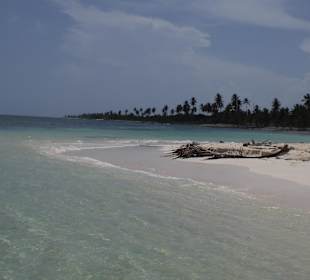 Saona