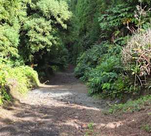 Der steile Weg hinab