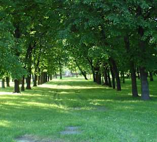 Москва - Кремль