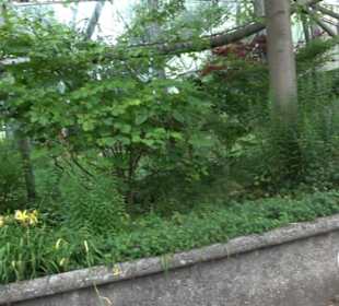 Tierpark Hellabrunn - Welt der Affen