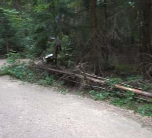 Dinosaurier Museum Altmühltal