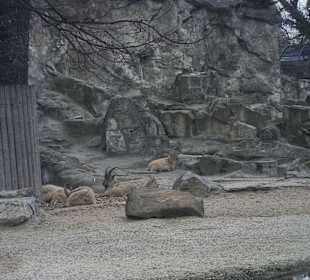 ZOO Berlin