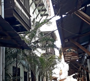 Eco & Culture Tours Zanzibar