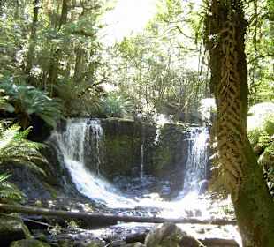 Mt. Field Nationalpark in der Nähe von Hobart