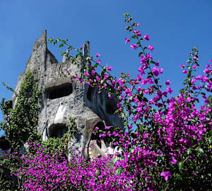 Wunderschöner Kontrast