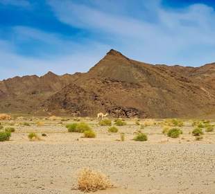 Landschaft