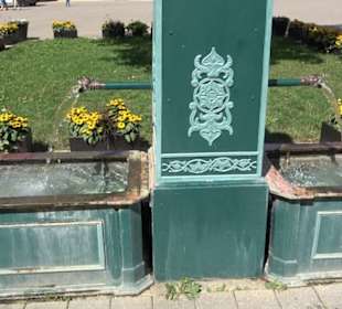 Haupt- und Landgestüt Marbach