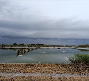 Salinas do Forte do Rato