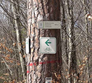 Waldkulturerbe Neuweiler Viehweide