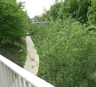 Stadtgarten