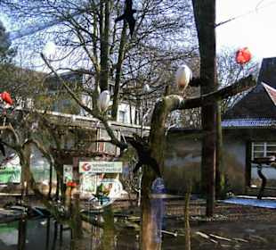 Tierpark Bochum - Impressionen