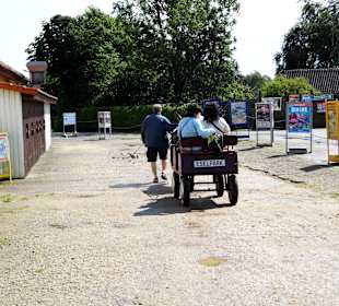 Eselpark-Impressionen