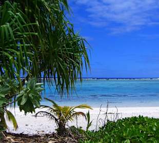 Escursione alle isole