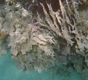 Unterwassereindrücke