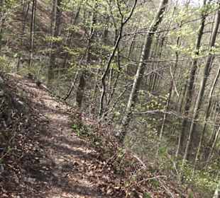 Wanderweg Hochgehkämpft